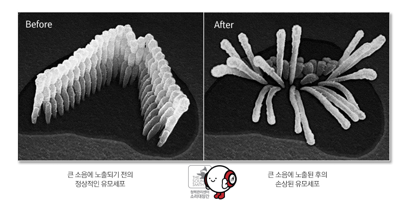 밀소리 이미지