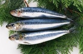 복산식품 이미지