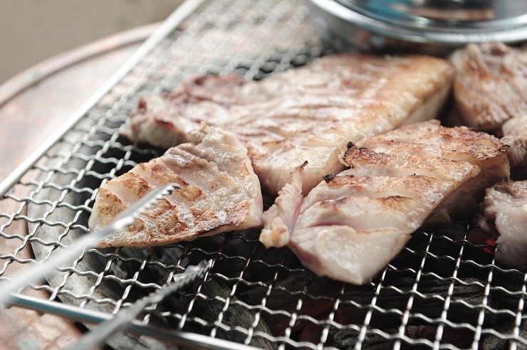제주도야지 이미지