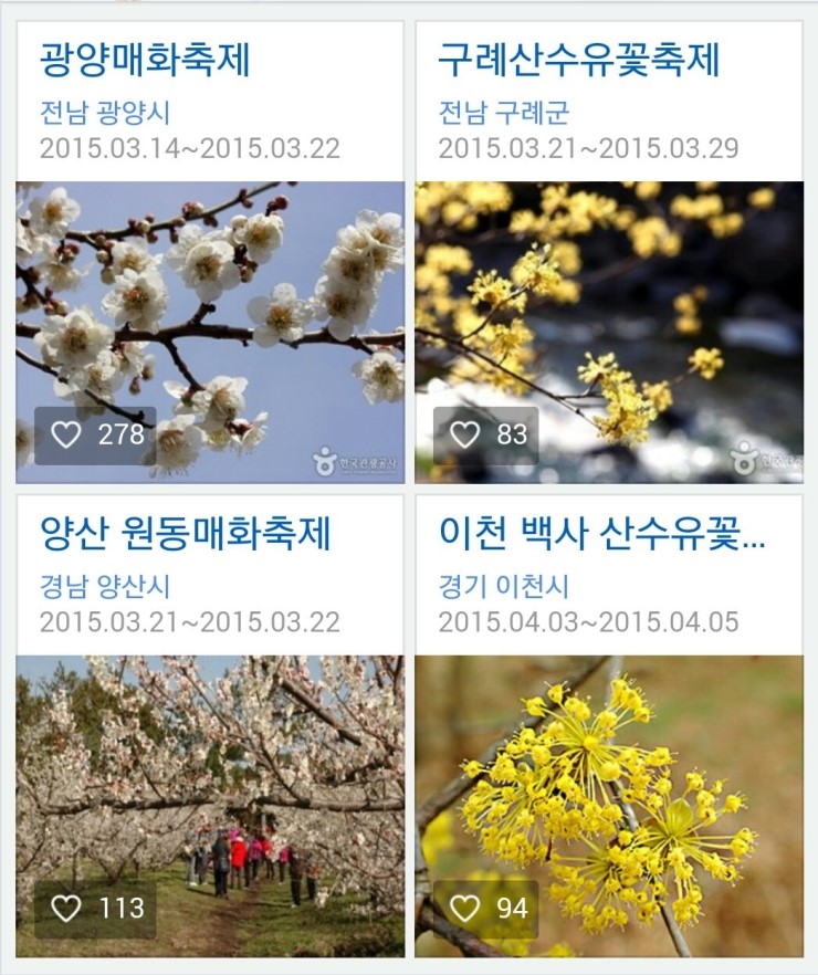 캔들나무 이미지