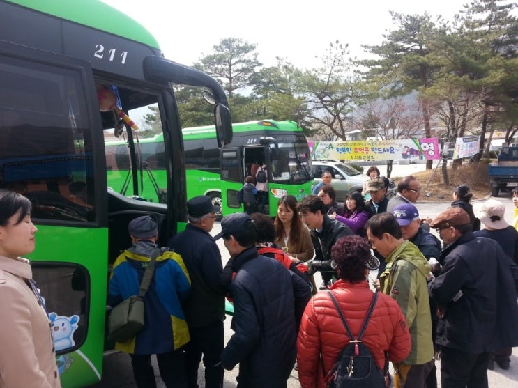 아리랑관광 이미지