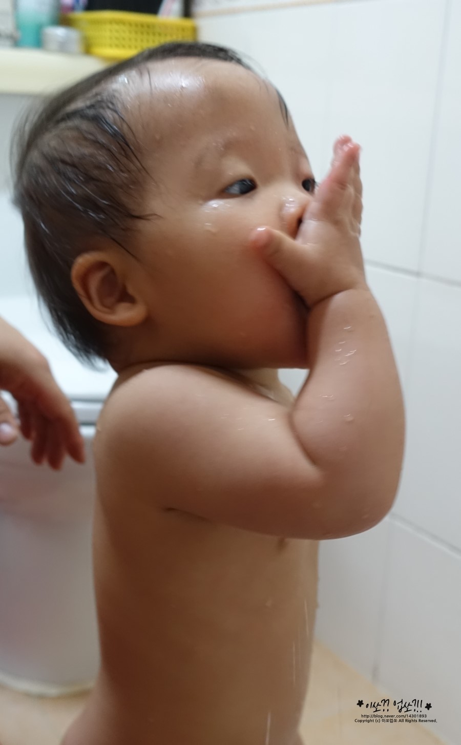 진피오니 이미지