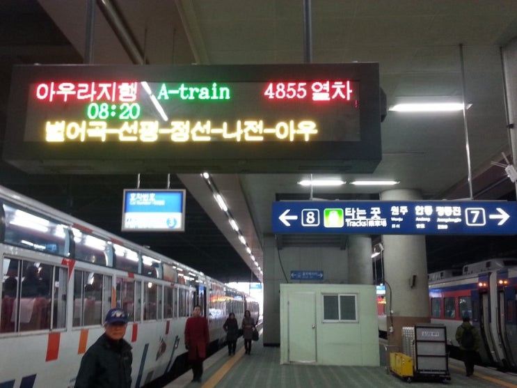 아리랑관광 이미지