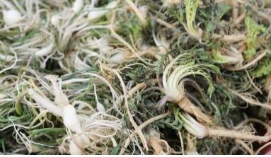맛있게드시게 이미지