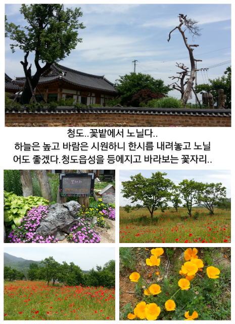 샤르망헤어아트 이미지