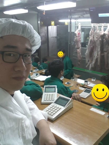 순한우암소한마리 이미지
