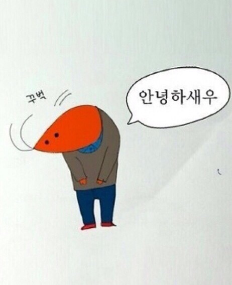 플로허 이미지