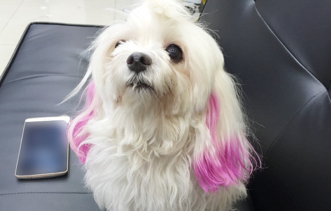 온헤어샵(ON HAIR) 이미지