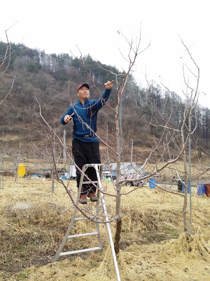 품앗이농원 이미지