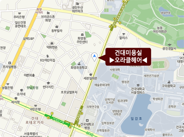 오라클헤어 이미지