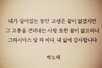 라갤러리 이미지