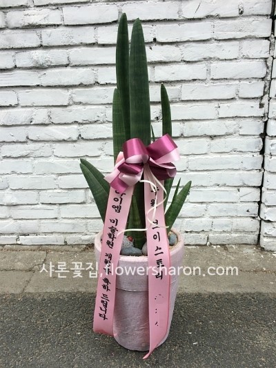 V볼링장브이 이미지