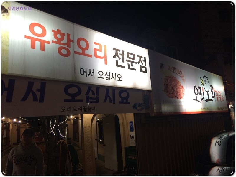 오리와꿀꿀이 이미지