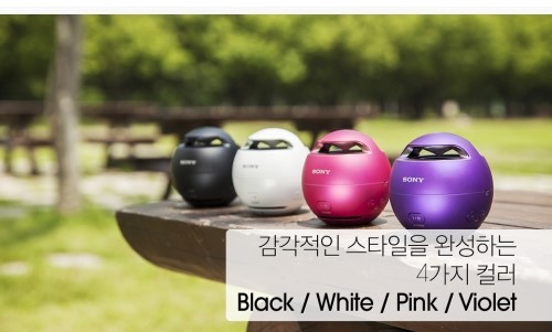 에스알에스 이미지
