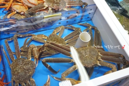 대포항회수산 이미지