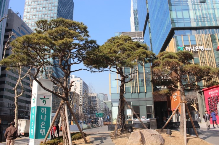 지엔시스 이미지