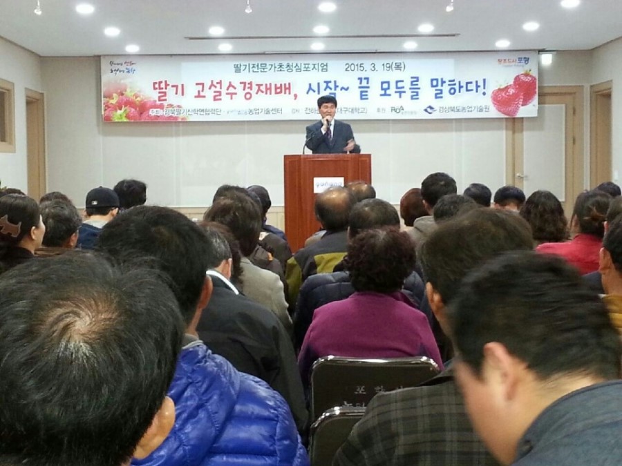 포항과채 이미지