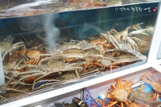 대포항회수산 이미지