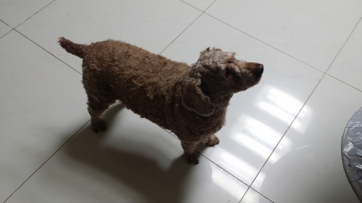 파리바게트 장안구청점 이미지