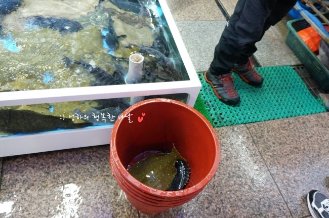 대포항회수산 이미지
