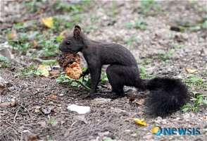 미래산업(주) 이미지
