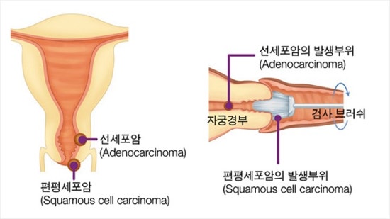 로즈맘산부인과 이미지