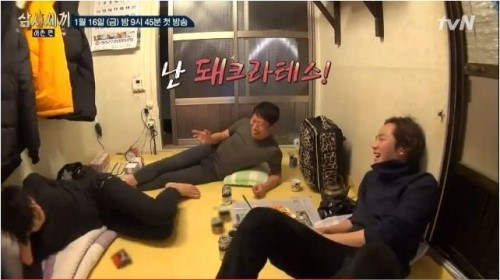 돼지33 이미지