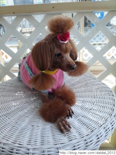 부흥미용실 이미지