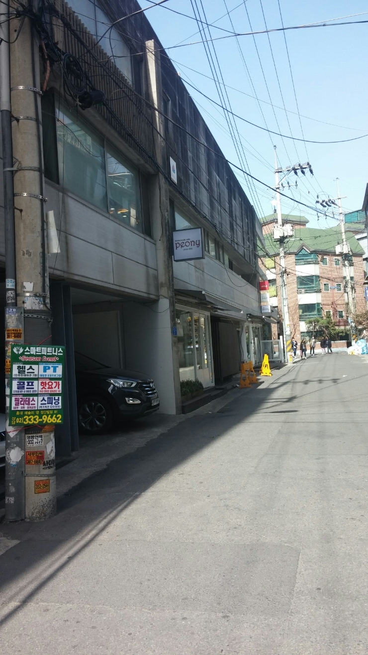 지니써니 이미지