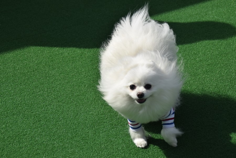 카페반 이미지