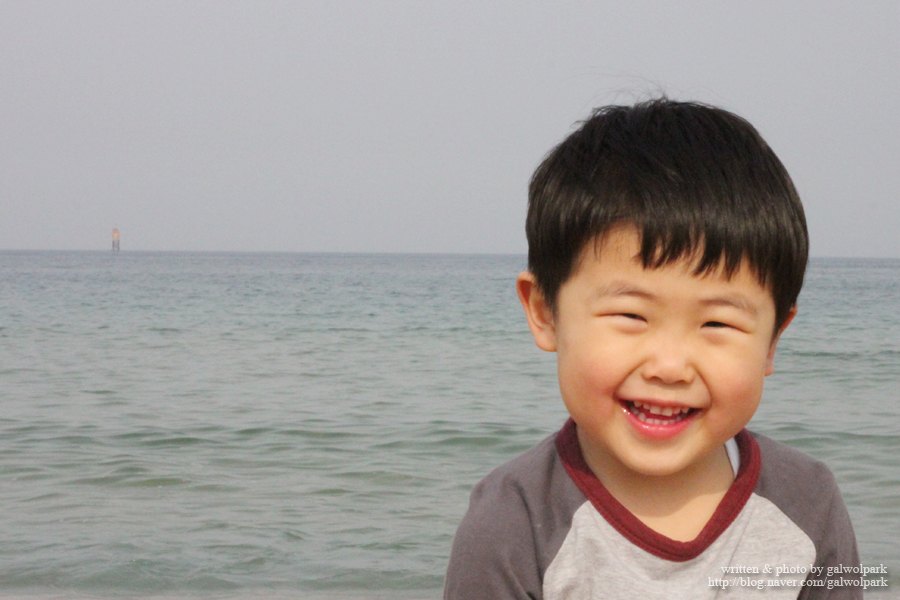 속초항아리물회 이미지