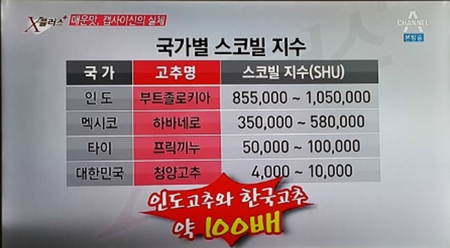 매운맛의유혹 이미지
