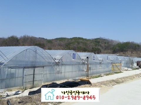 미소육묘장 이미지