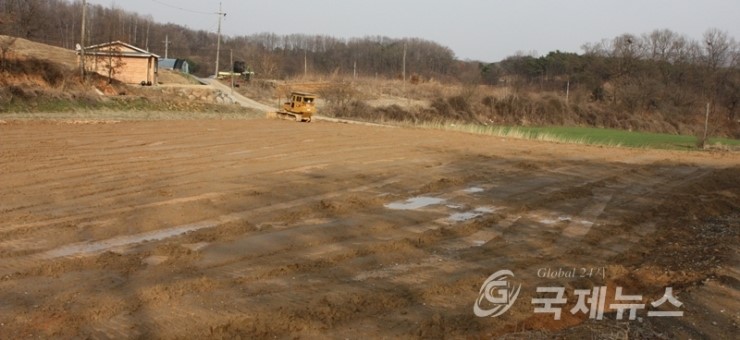 삼성개발주 이미지
