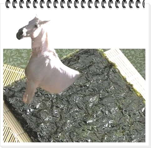 밥상은보약 이미지