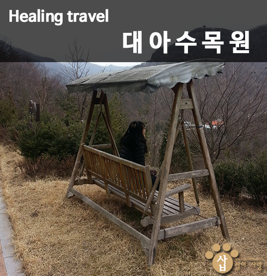 수목 비교 관찰원 이미지