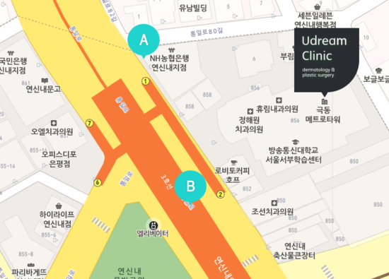 비비드림 이미지