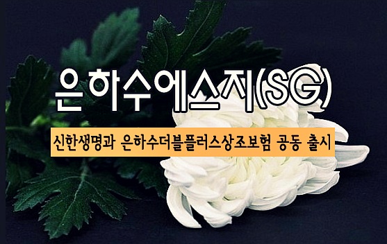 은하수에스지 이미지