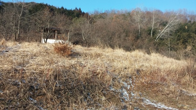 추월산이보이는집 이미지