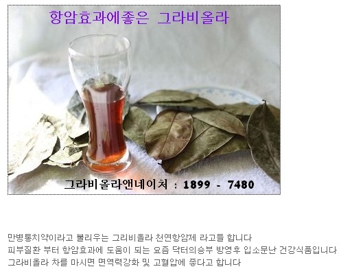 명품앤네이처 이미지