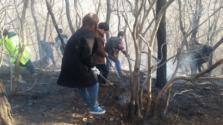 장안인력 이미지