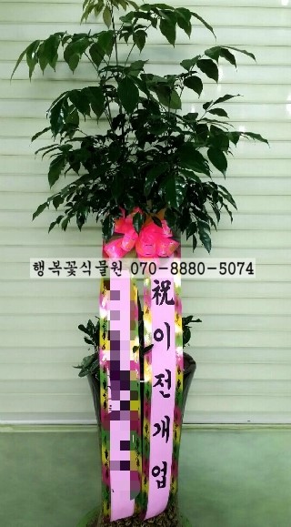 한일꽃식물원 이미지