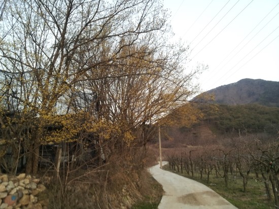 산.들.꿈농원 이미지