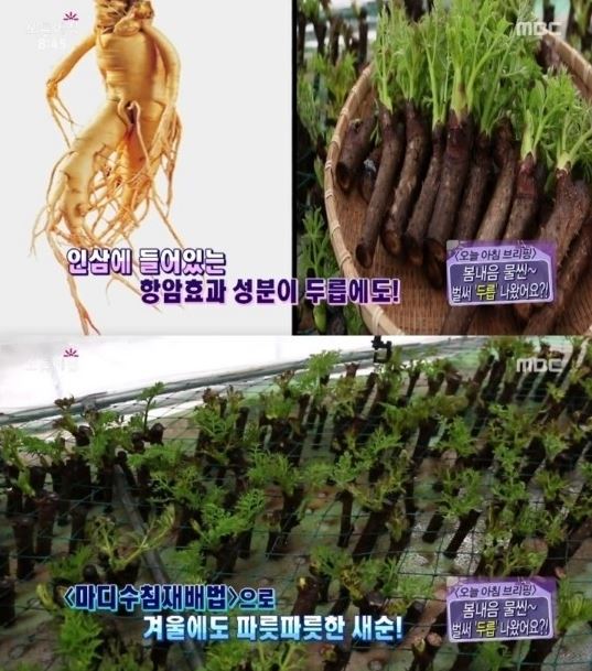 스튜디오두릅 이미지