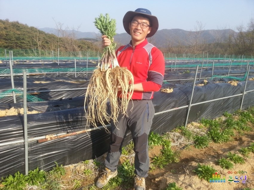 의성종합가구 이미지