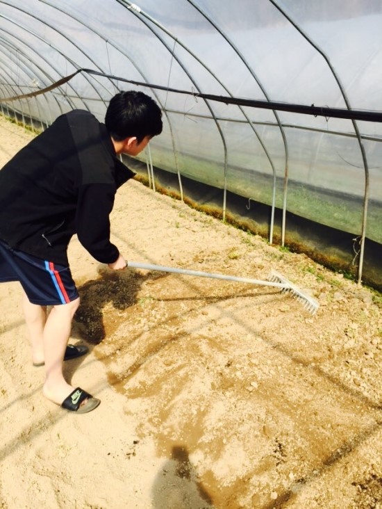 터미널 농약사 이미지