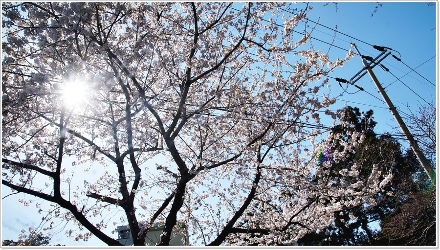 (주)신라원 이미지