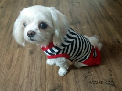 삼성종합패션 이미지