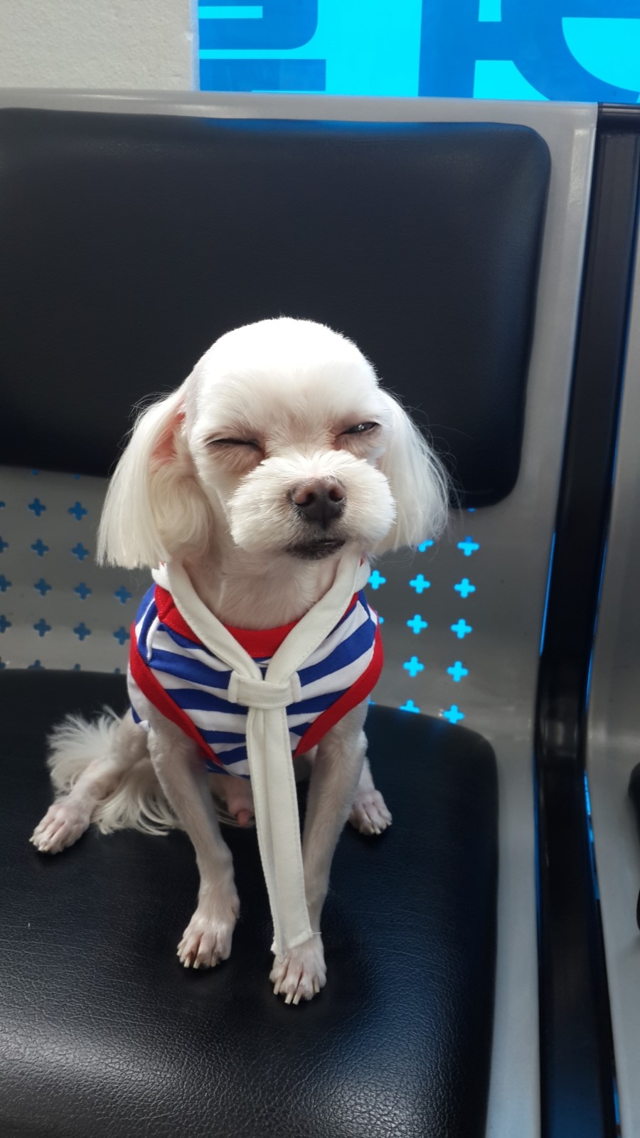 벼리 이미지