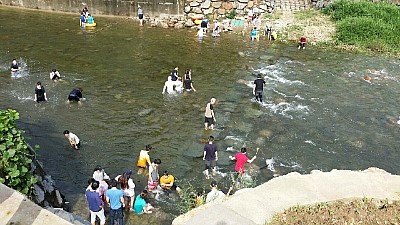 화수목펜션 이미지